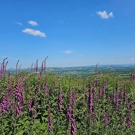 Summit Camping Kit Hill Cornwall Panoramic Views Grass Pitch From 15Pn Or Bella Bell Tent 75Pn Callington Exteriör bild