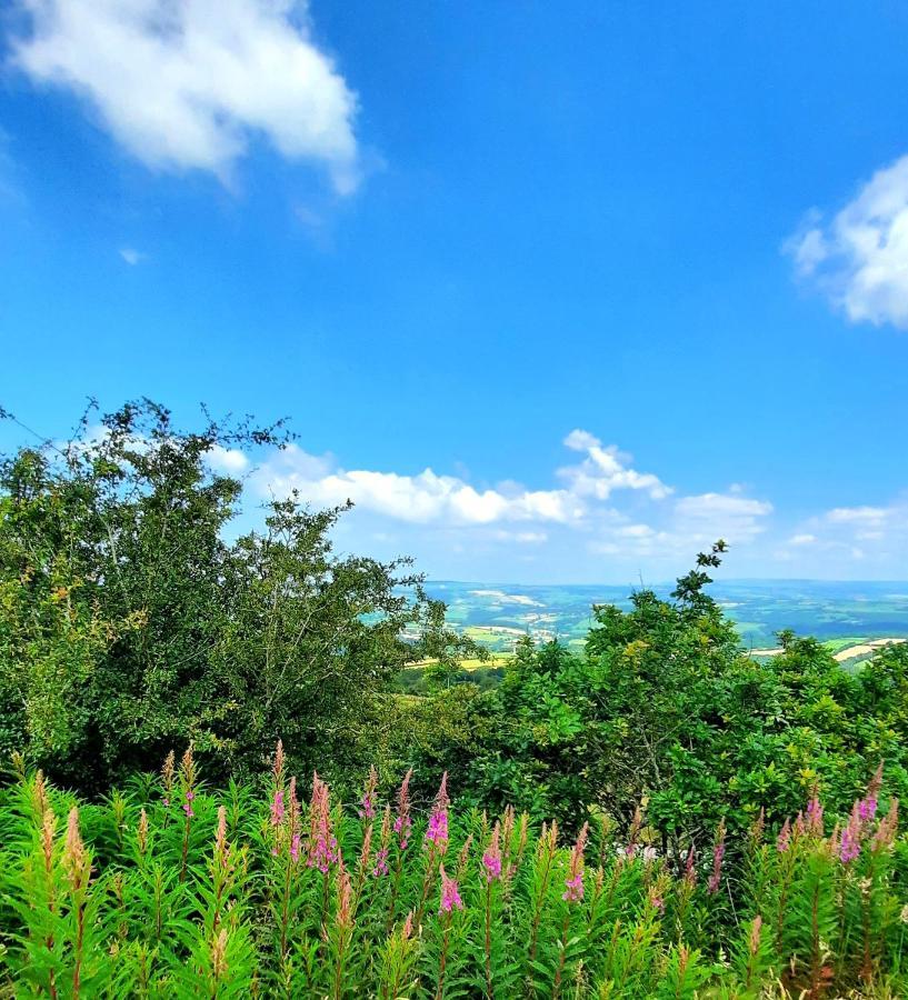 Summit Camping Kit Hill Cornwall Panoramic Views Grass Pitch From 15Pn Or Bella Bell Tent 75Pn Callington Exteriör bild